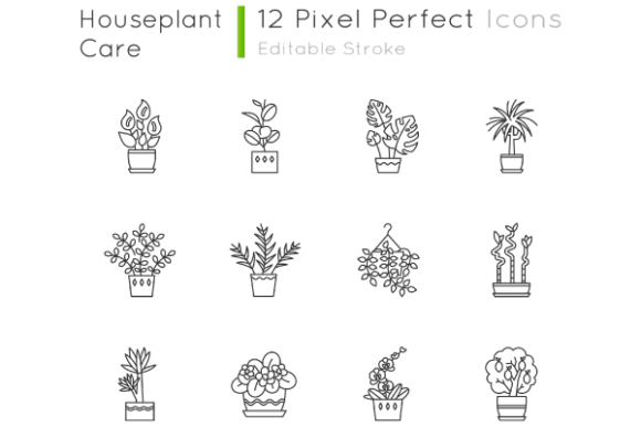 Houseplants Pixel Perfect Icons Set Review for Embroidery Projects